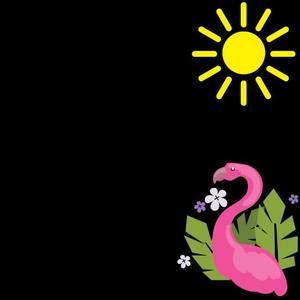 Meet your Posher, Jane